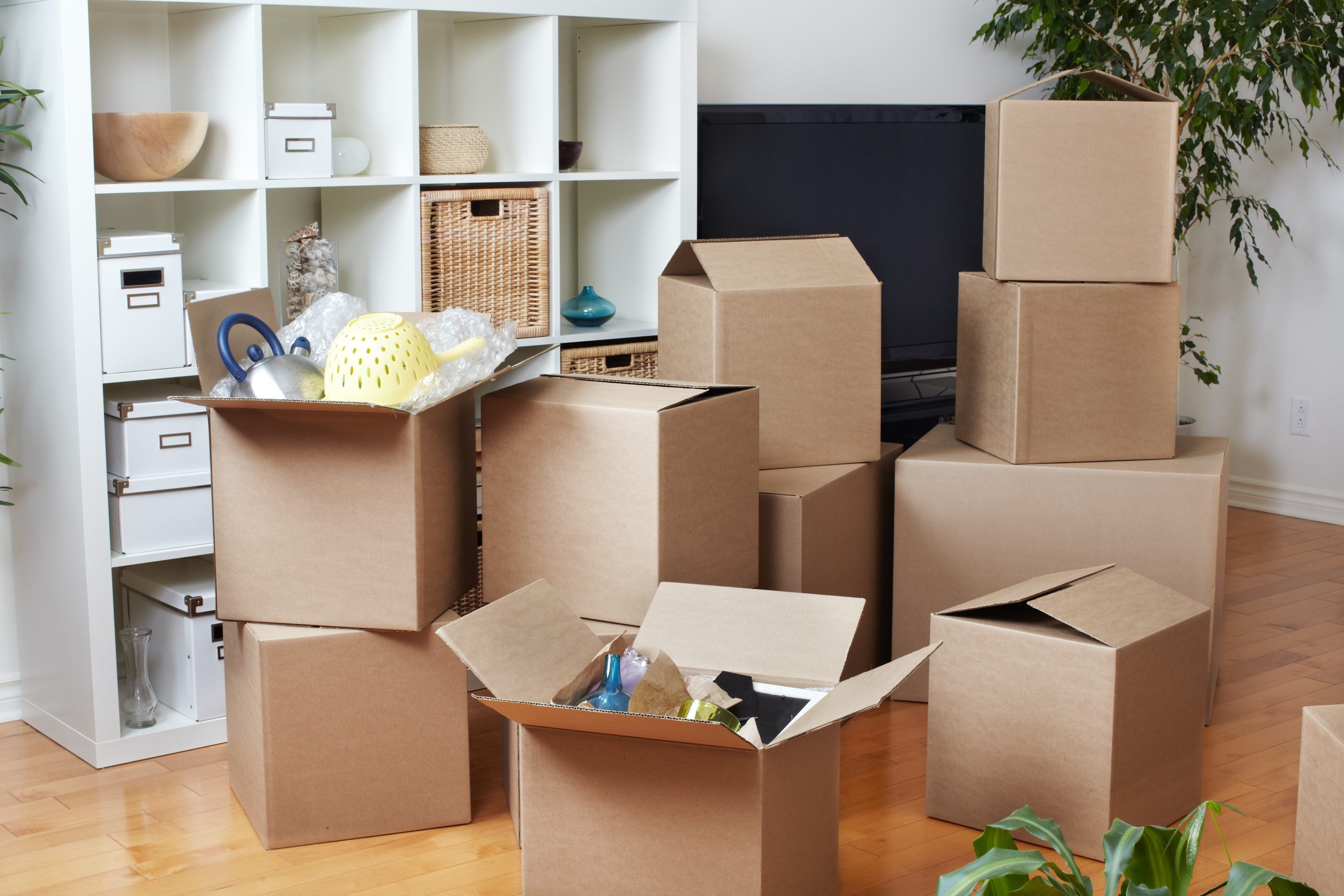 removalist in Sydney