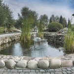 pond treatments