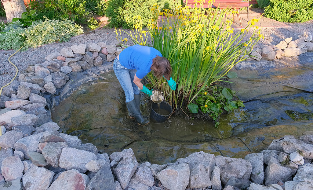 koi pond suppliers near me