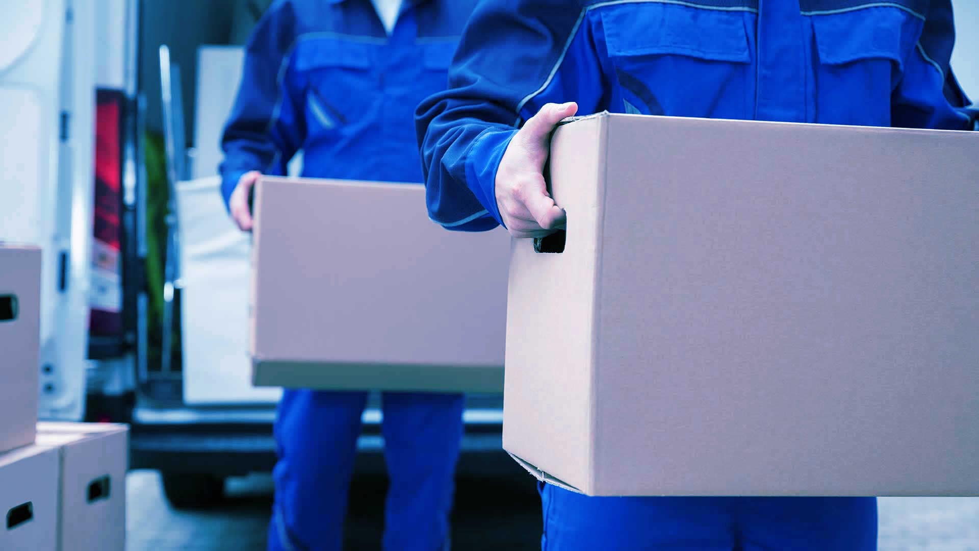 movers surry hills