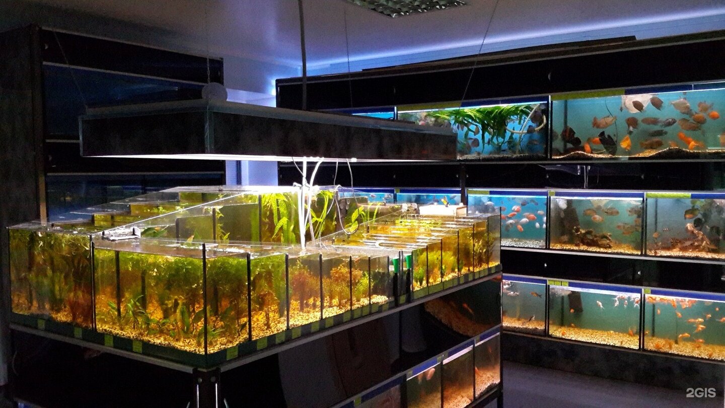 Aquarium Supplies Sydney