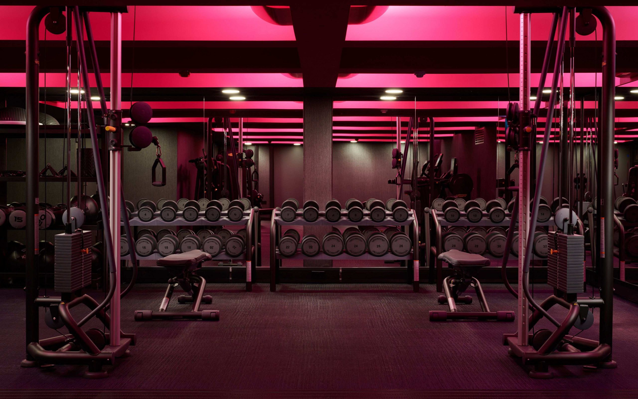 gym Bankstown