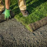 Lawn installation