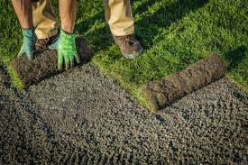 Lawn installation
