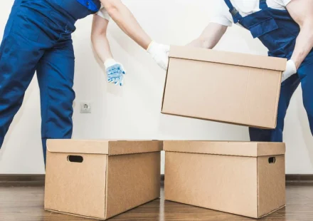 Removalists wollongong