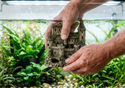 fish aquarium decorations
